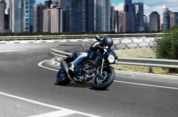 Suzuki SV650X 2022 - Bild 3