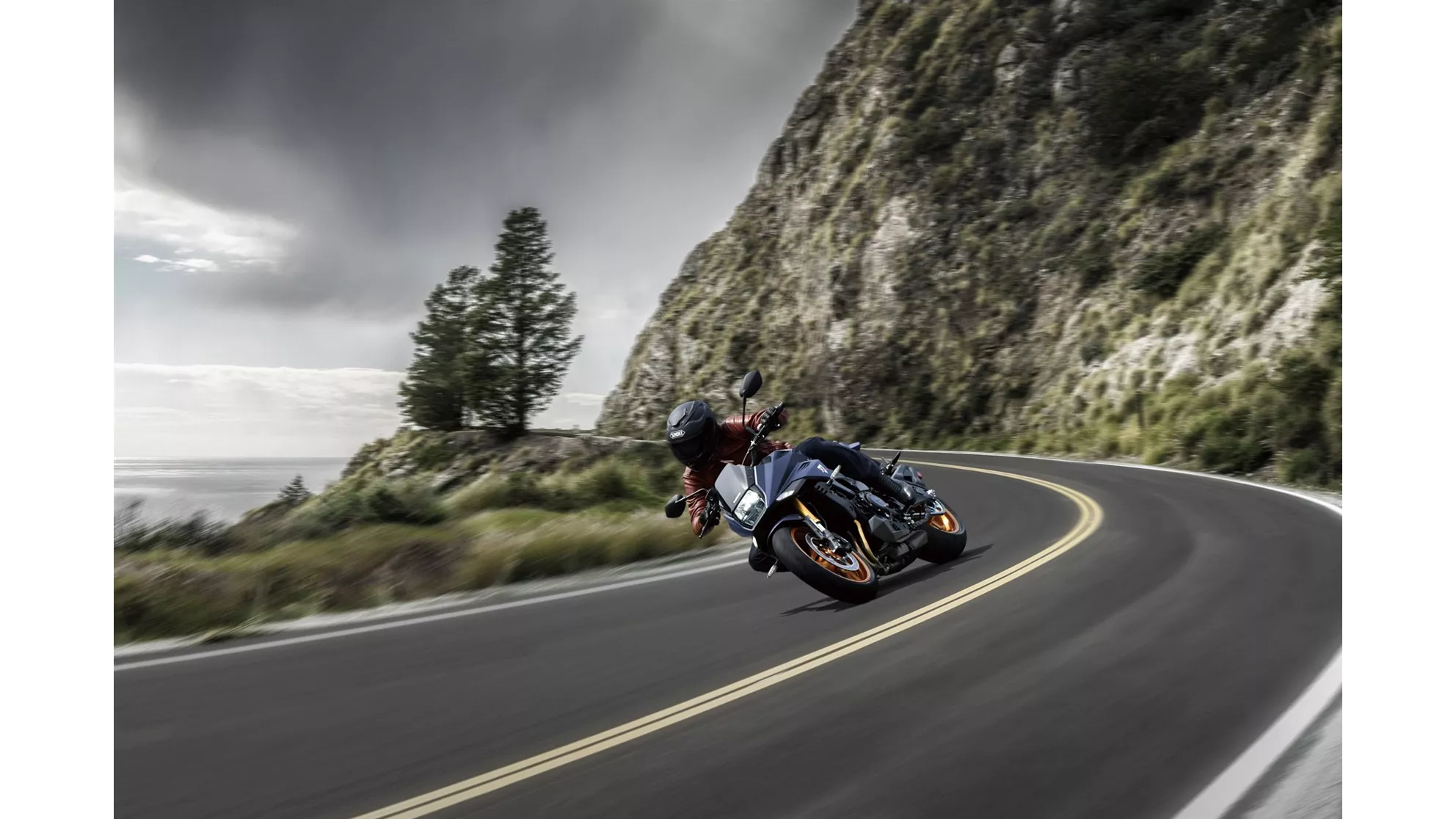 Suzuki Katana - Image 9 Suzuki Katana - Image 9