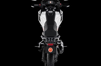 MV Agusta Lucky Explorer 5.5 2022 - Bild 4 MV Agusta Lucky Explorer 5.5 2022 - Bild 4