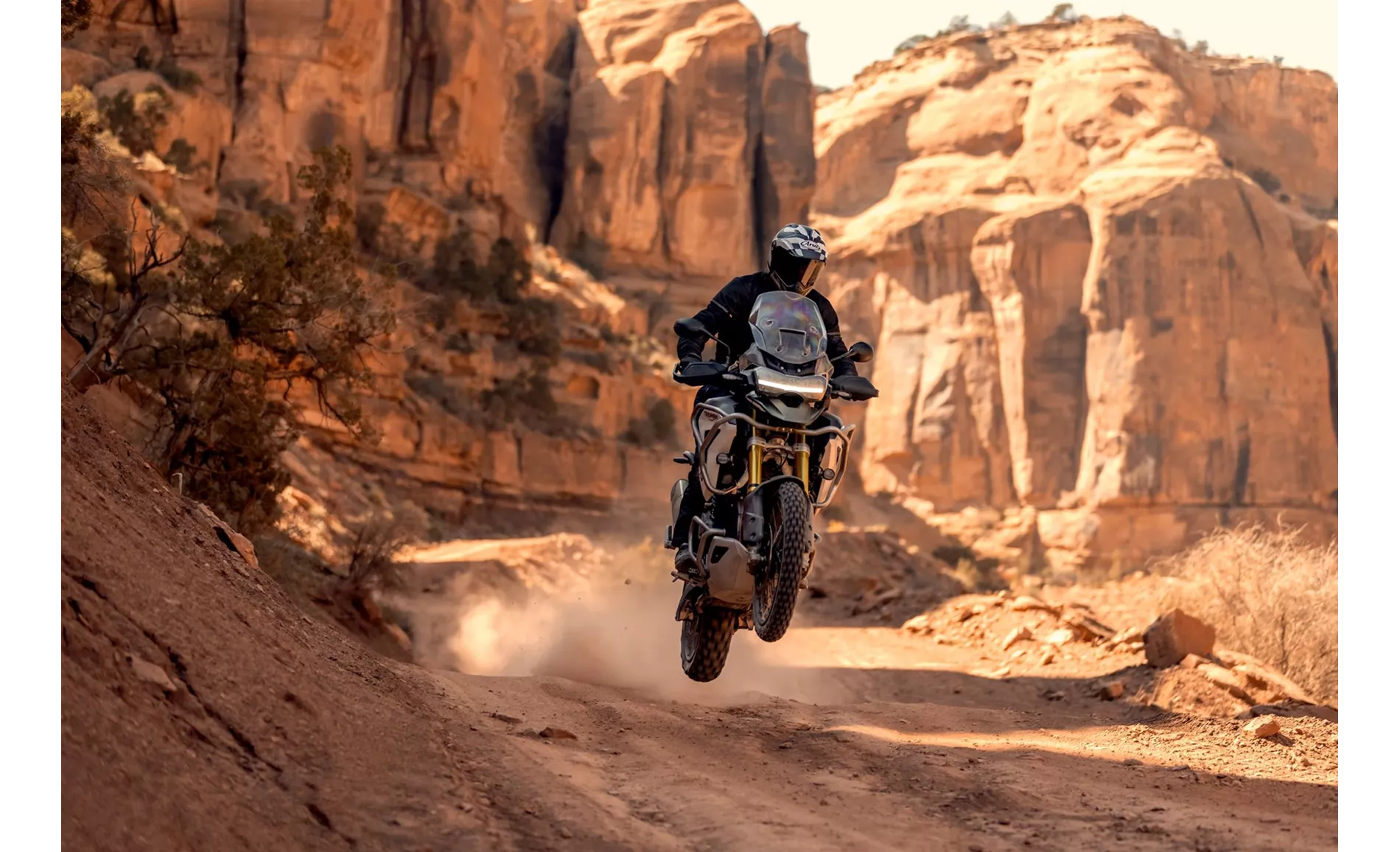 Triumph Tiger 1200 Rally PRO 2022 Triumph Tiger 1200 Rally PRO 2022