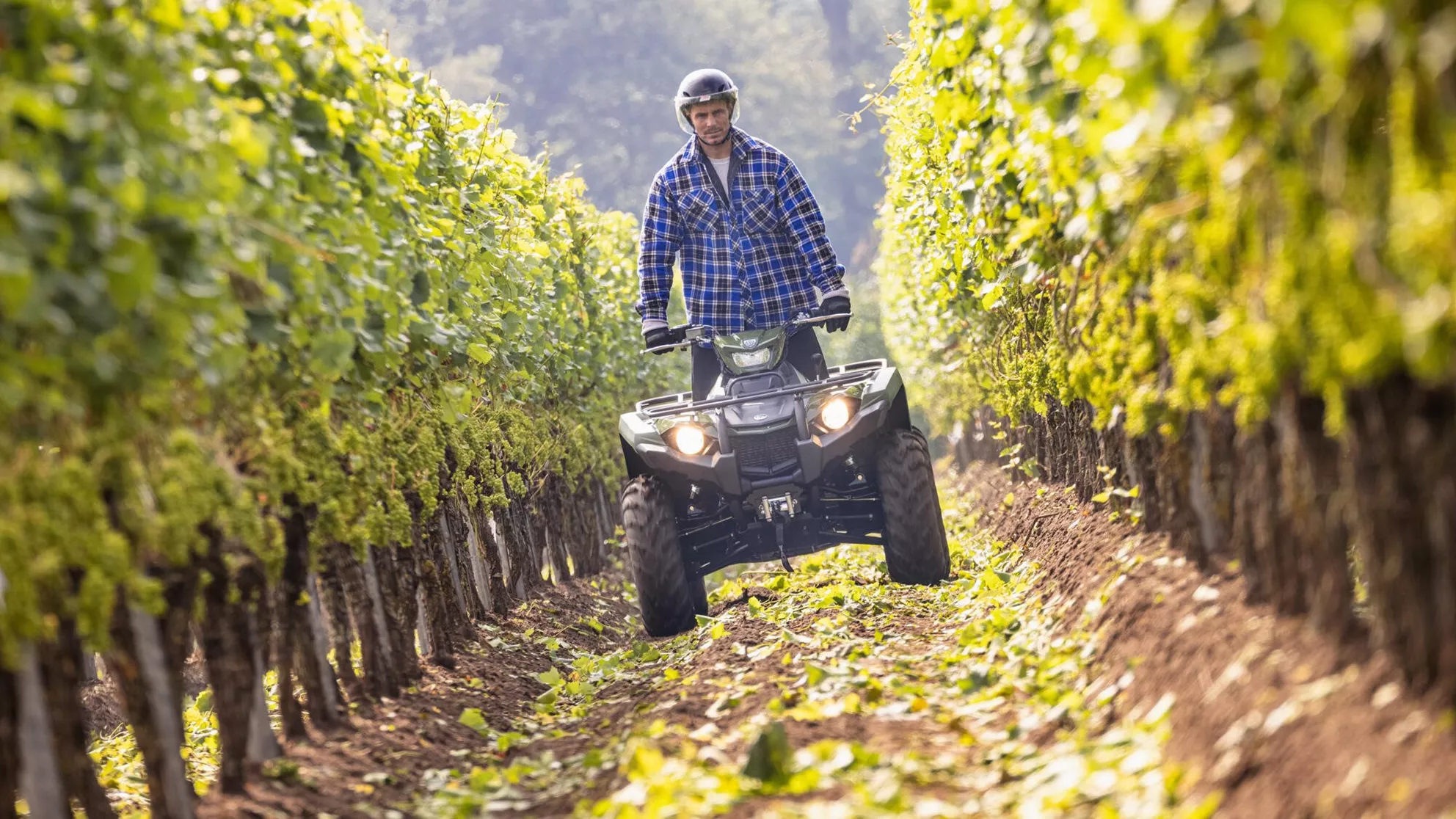 Yamaha Kodiak 450 EPS - Image 5 Yamaha Kodiak 450 EPS - Image 5