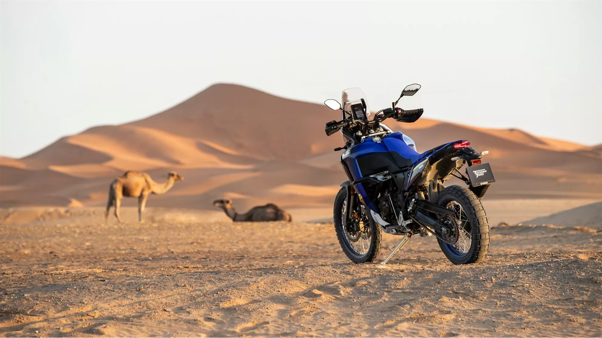 Yamaha Tenere 700 World Raid - Image 13 Yamaha Tenere 700 World Raid - Image 13