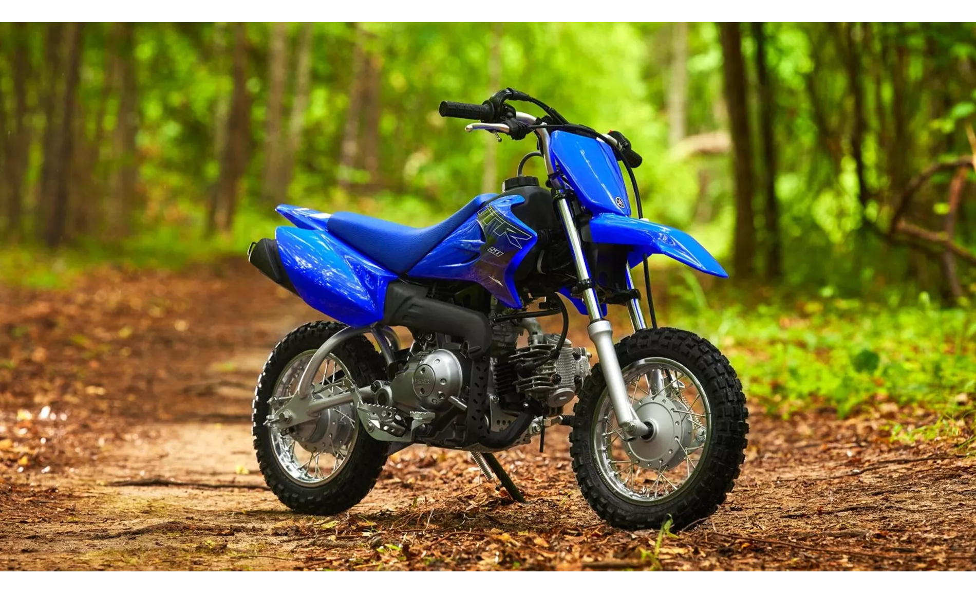 Yamaha TT-R50E 2022