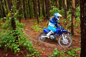 Yamaha TT R125 LW / E 2022 - Bild 5 Yamaha TT R125 LW / E 2022 - Bild 5