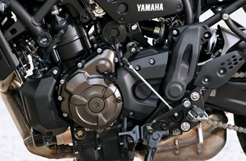 Yamaha XSR700 XTribute 2022 - Bild 10 Yamaha XSR700 XTribute 2022 - Bild 10