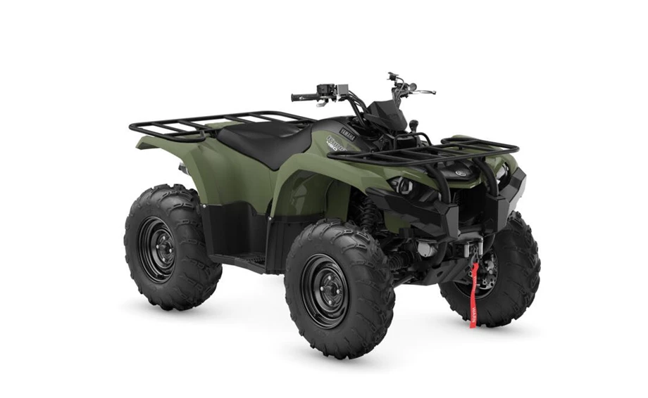 Yamaha Kodiak 450 Bild 4: Yamaha Kodiak 450