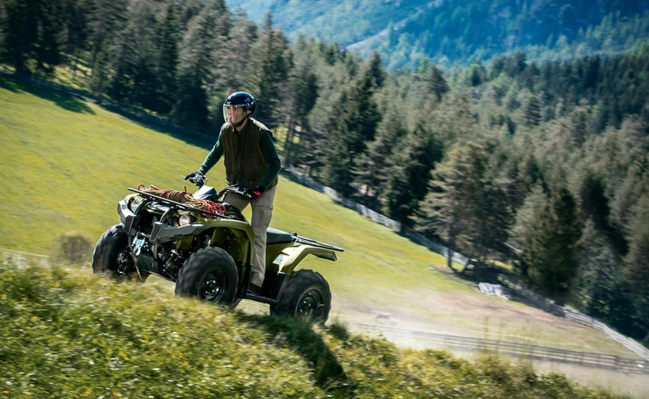 Yamaha Kodiak 450 Bild 6: Yamaha Kodiak 450