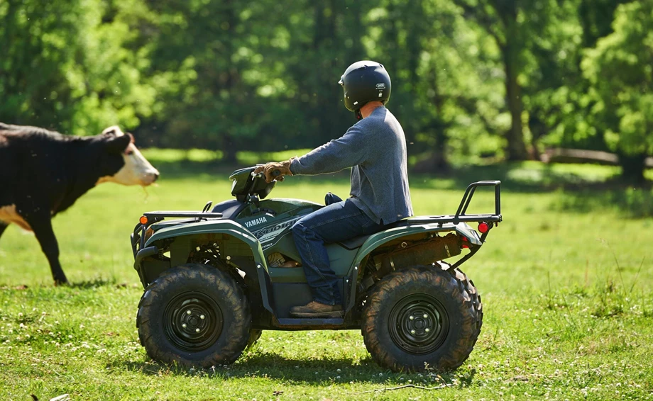 Yamaha Kodiak 700 EPS Bild 4: Yamaha Kodiak 700 EPS