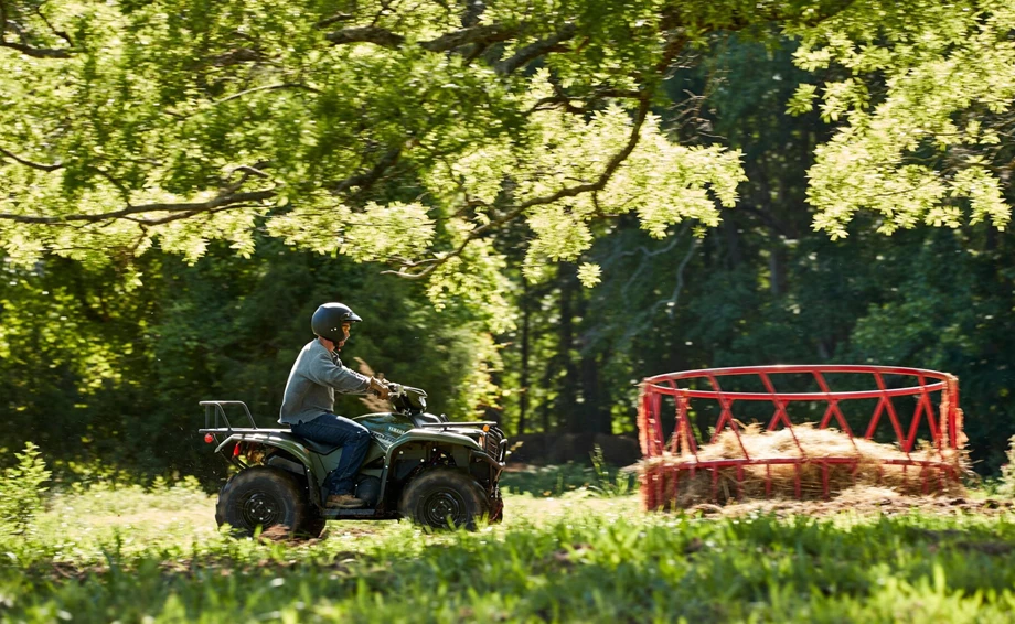 Yamaha Kodiak 700 EPS Bild 5: Yamaha Kodiak 700 EPS