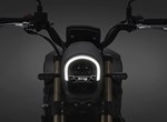 Benelli Leoncino 800