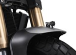 Benelli Leoncino 800