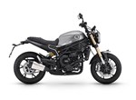 Benelli Leoncino 800