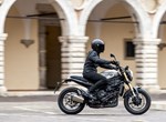 Benelli Leoncino 800