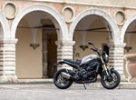Benelli Leoncino 800