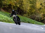 Benelli Leoncino 800