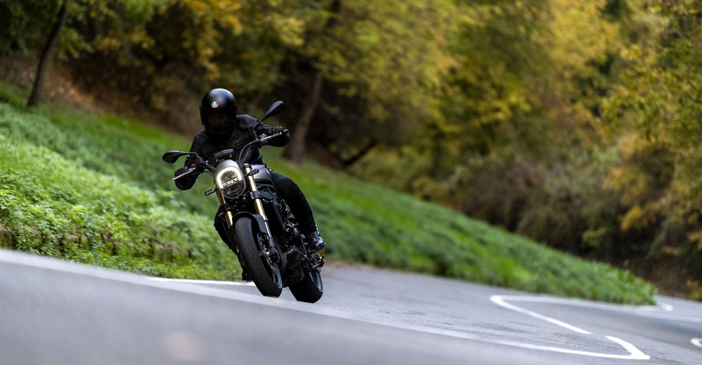 Benelli Leoncino 800
