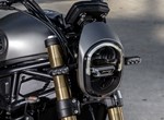 Benelli Leoncino 800