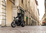 Benelli Leoncino 800
