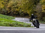 Benelli Leoncino 800