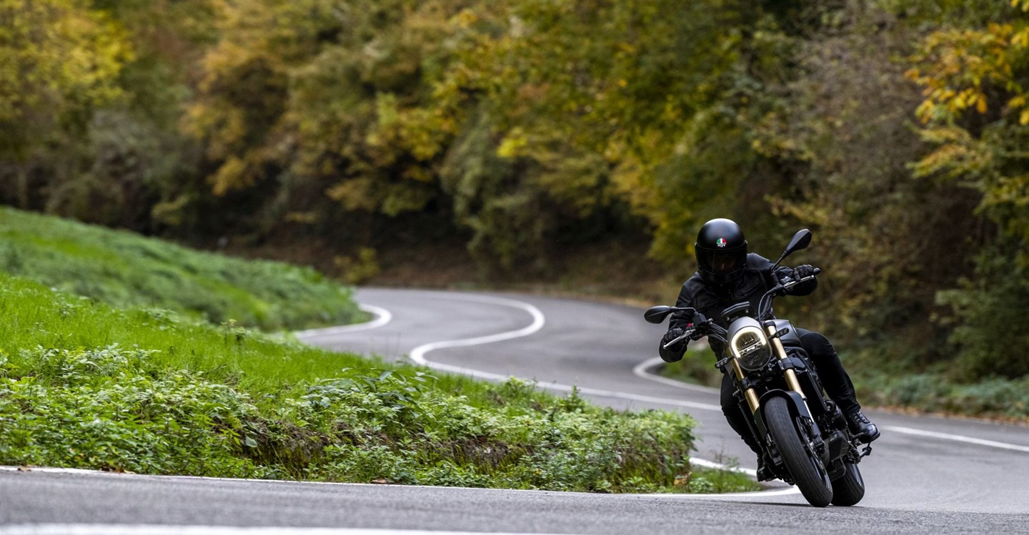 Benelli Leoncino 800