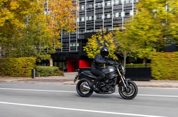 Benelli Leoncino 800 2022 - Bild 9