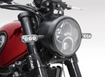 Benelli Leoncino 500