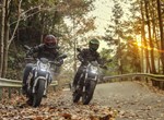 Benelli BN 125