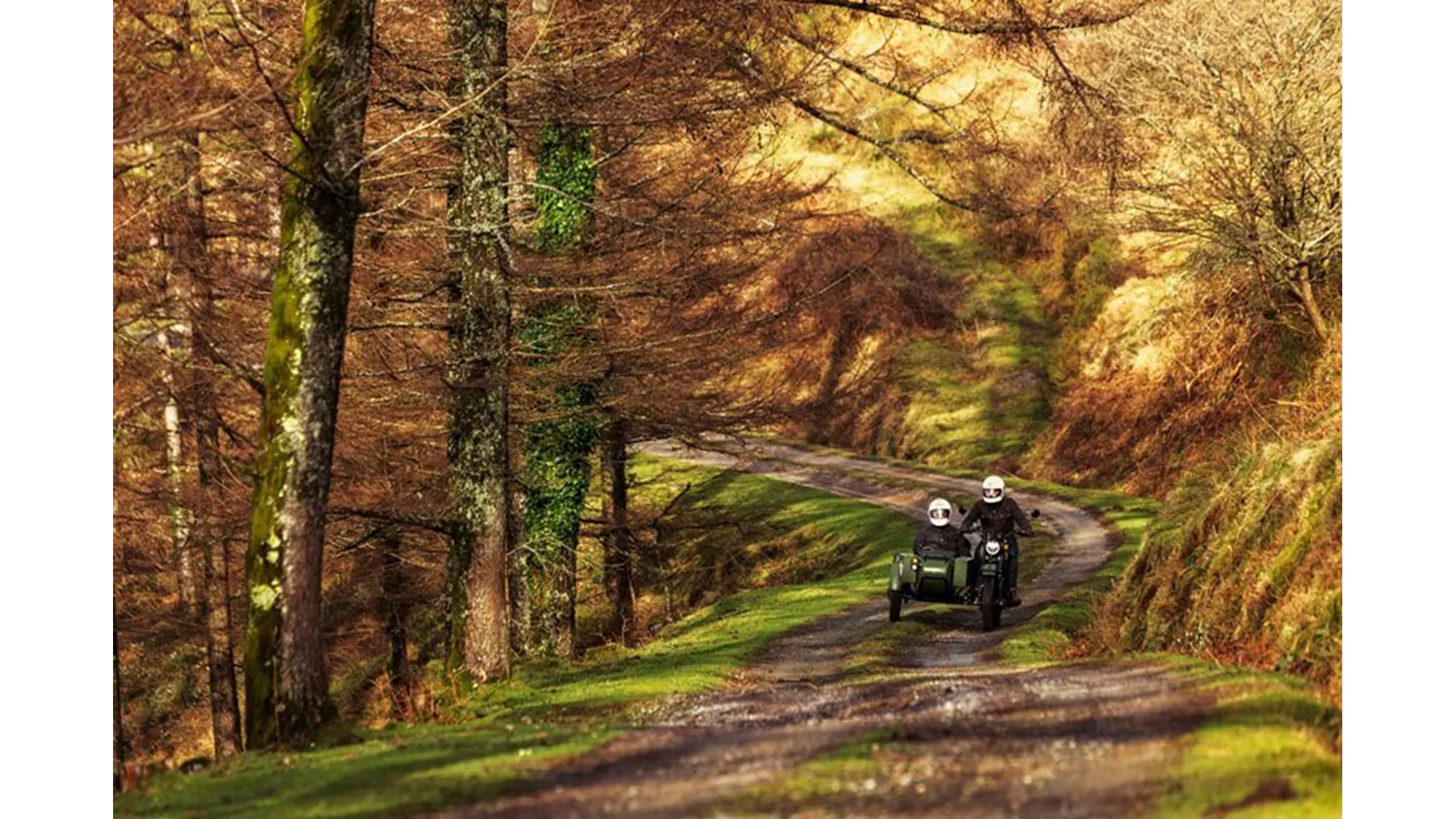 Mash Side Force - Image 21 Mash Side Force - Image 21