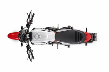 Ducati Scrambler Urban Motard 2022 - Bild 7 Ducati Scrambler Urban Motard 2022 - Bild 7