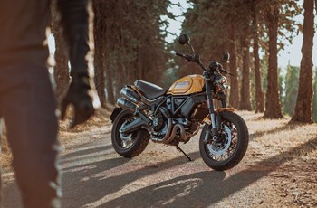 Ducati Scrambler 1100 Tribute PRO 2022 - Bild 3 Ducati Scrambler 1100 Tribute PRO 2022 - Bild 3