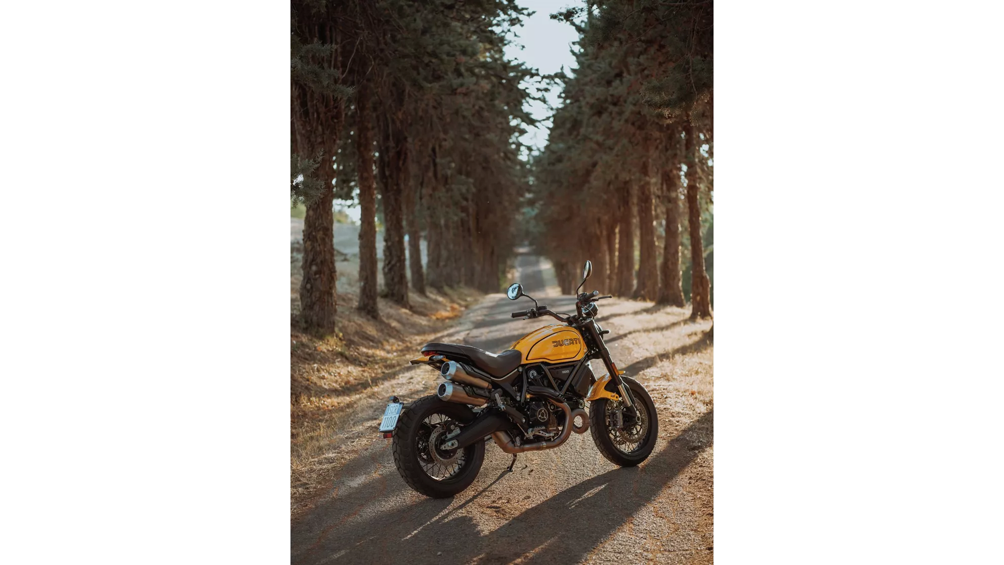 Ducati Scrambler 1100 Tribute PRO - Image 7 Ducati Scrambler 1100 Tribute PRO - Image 7