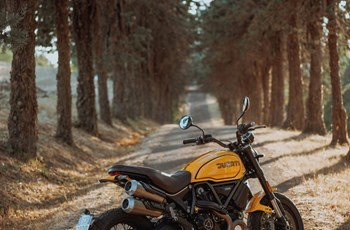 Ducati Scrambler 1100 Tribute PRO 2022 - Bild 10 Ducati Scrambler 1100 Tribute PRO 2022 - Bild 10