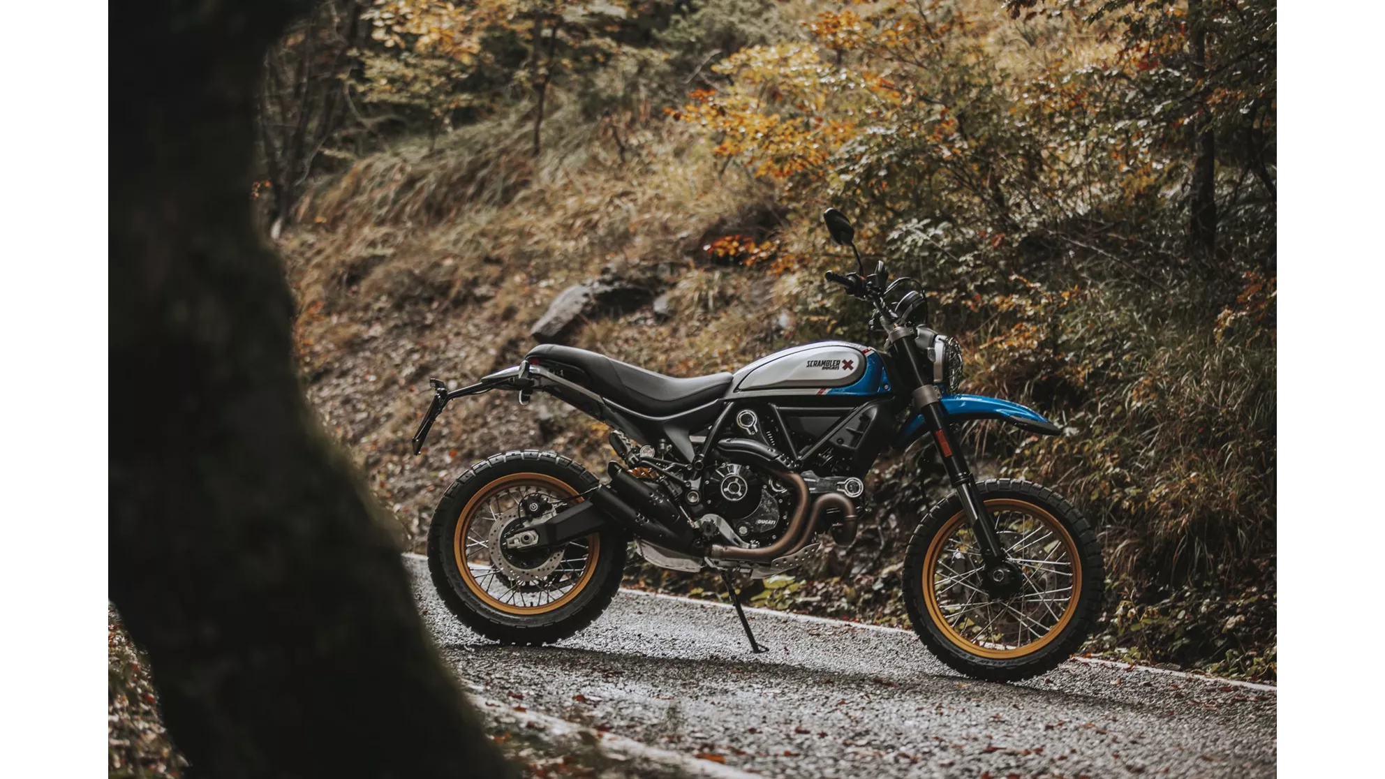 Ducati Scrambler Desert Sled - Image 16 Ducati Scrambler Desert Sled - Image 16