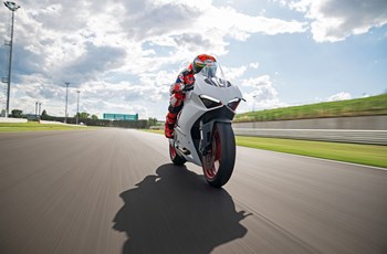 Ducati Panigale V2 2022 - Bild 19 Ducati Panigale V2 2022 - Bild 19