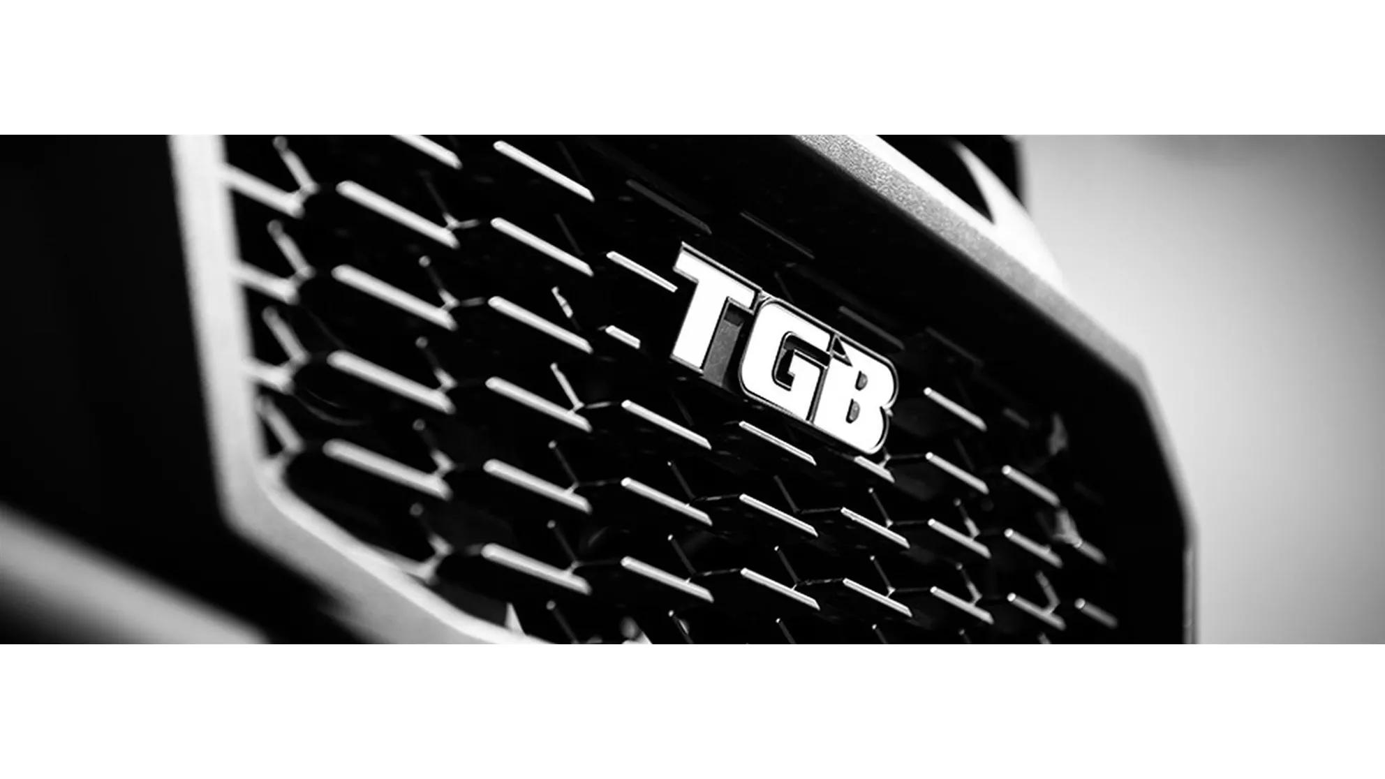 TGB Blade 1000 LT FL EPS MAX - Image 2 TGB Blade 1000 LT FL EPS MAX - Image 2