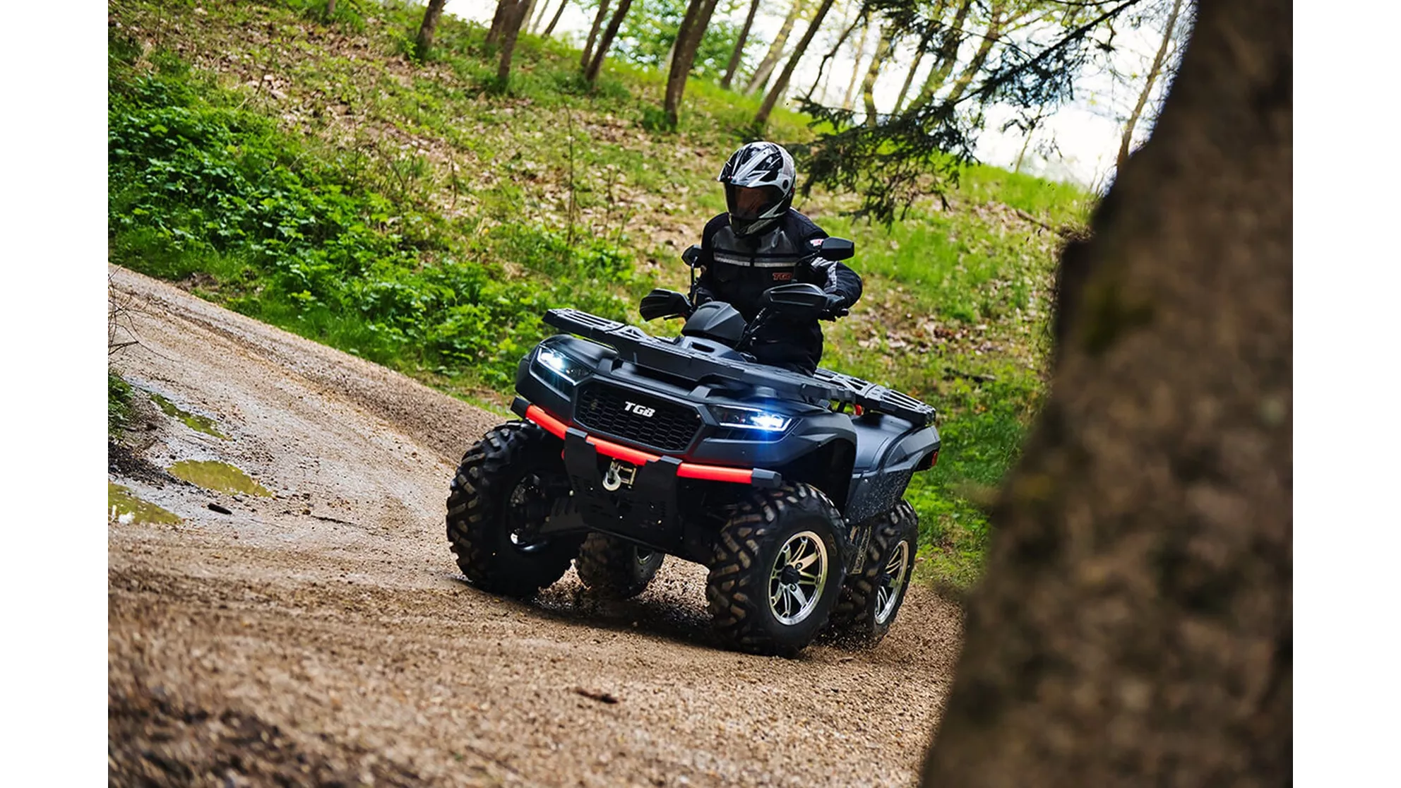 TGB Blade 550 FL EPS - Image 21 TGB Blade 550 FL EPS - Image 21