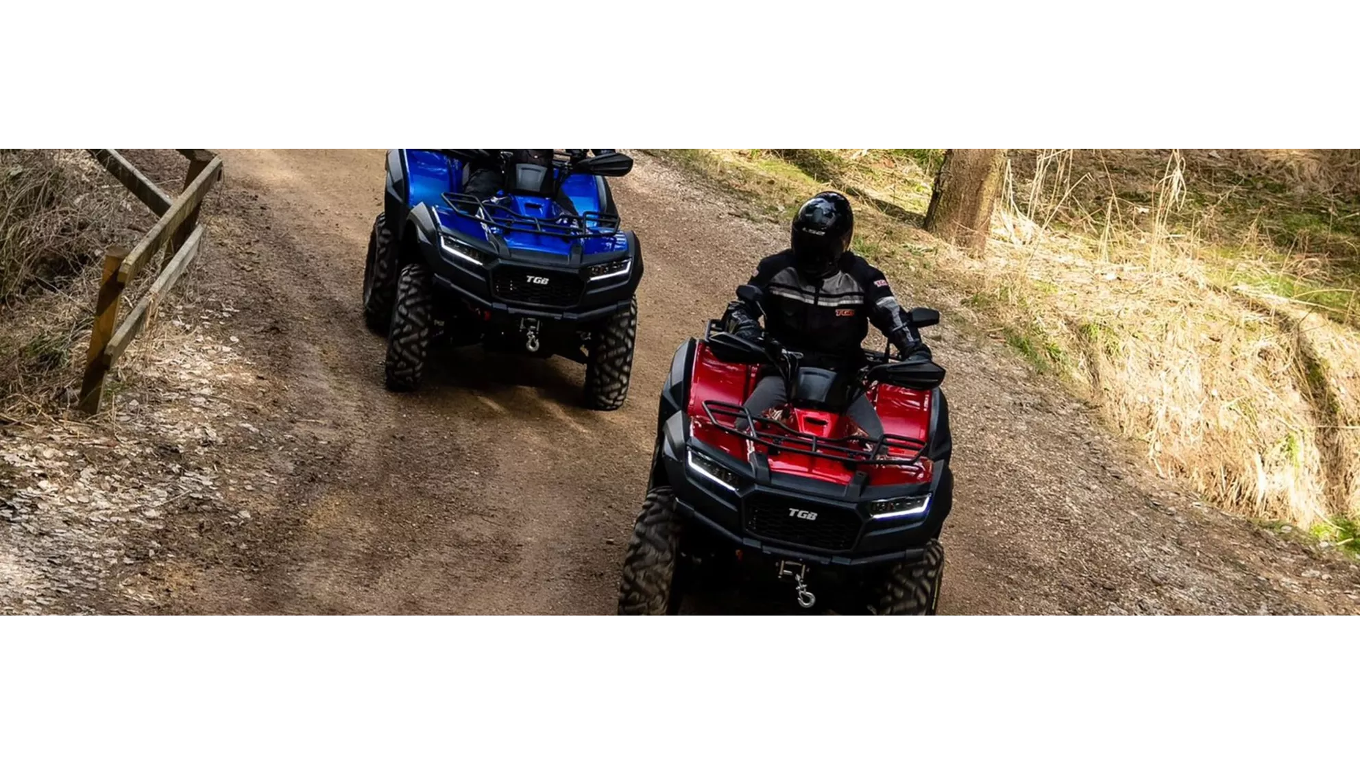 TGB Blade 550 FL X - Image 14 TGB Blade 550 FL X - Image 14