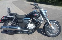 United Motors UM Renegade Commando Classic 125 E4 2022 - Bild 6