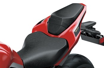 Kawasaki Z900 70kW 50th Anniversary 2022 - Bild 7