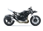 Kawasaki Ninja H2 SX SE