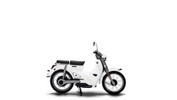 Motron Cubertino 2022
