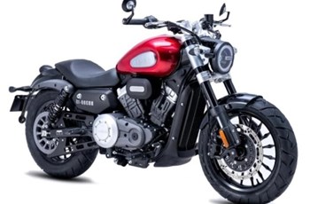 Benda Chinchilla 300 2022 - Bild 2 Benda Chinchilla 300 2022 - Bild 2