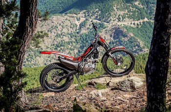 Montesa Cota 4RT 260R 2022 - Bild 10