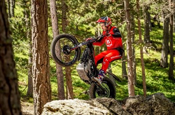 Montesa Cota 4RT 260R 2022 - Bild 11