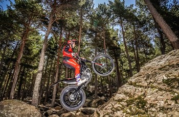 Montesa Cota 4RT 260R 2022 - Bild 12