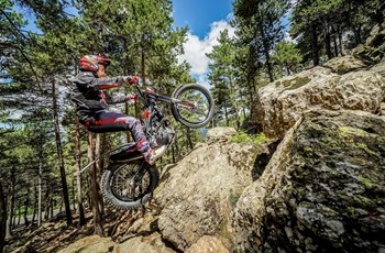 Montesa Cota 301RR 2022 - Bild 5