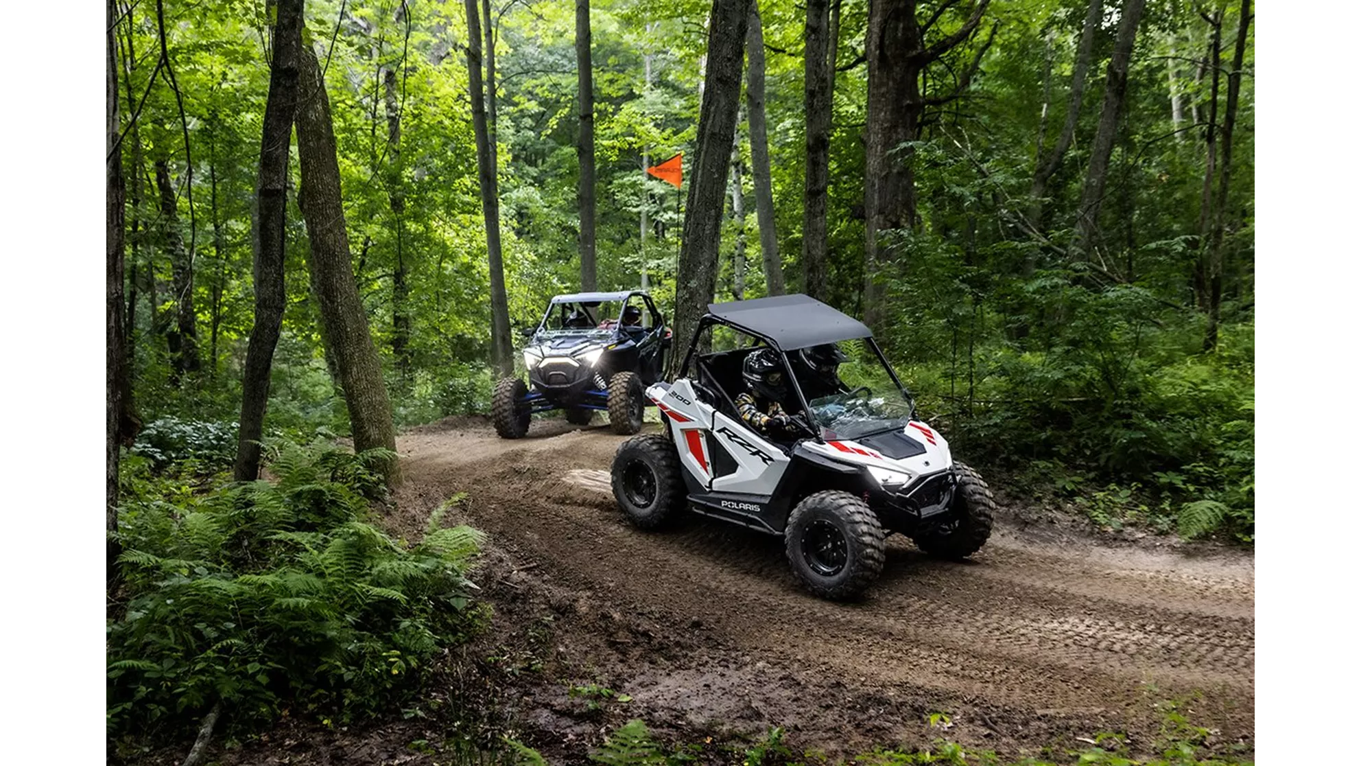 Polaris RZR 200 EFI - Image 4 Polaris RZR 200 EFI - Image 4