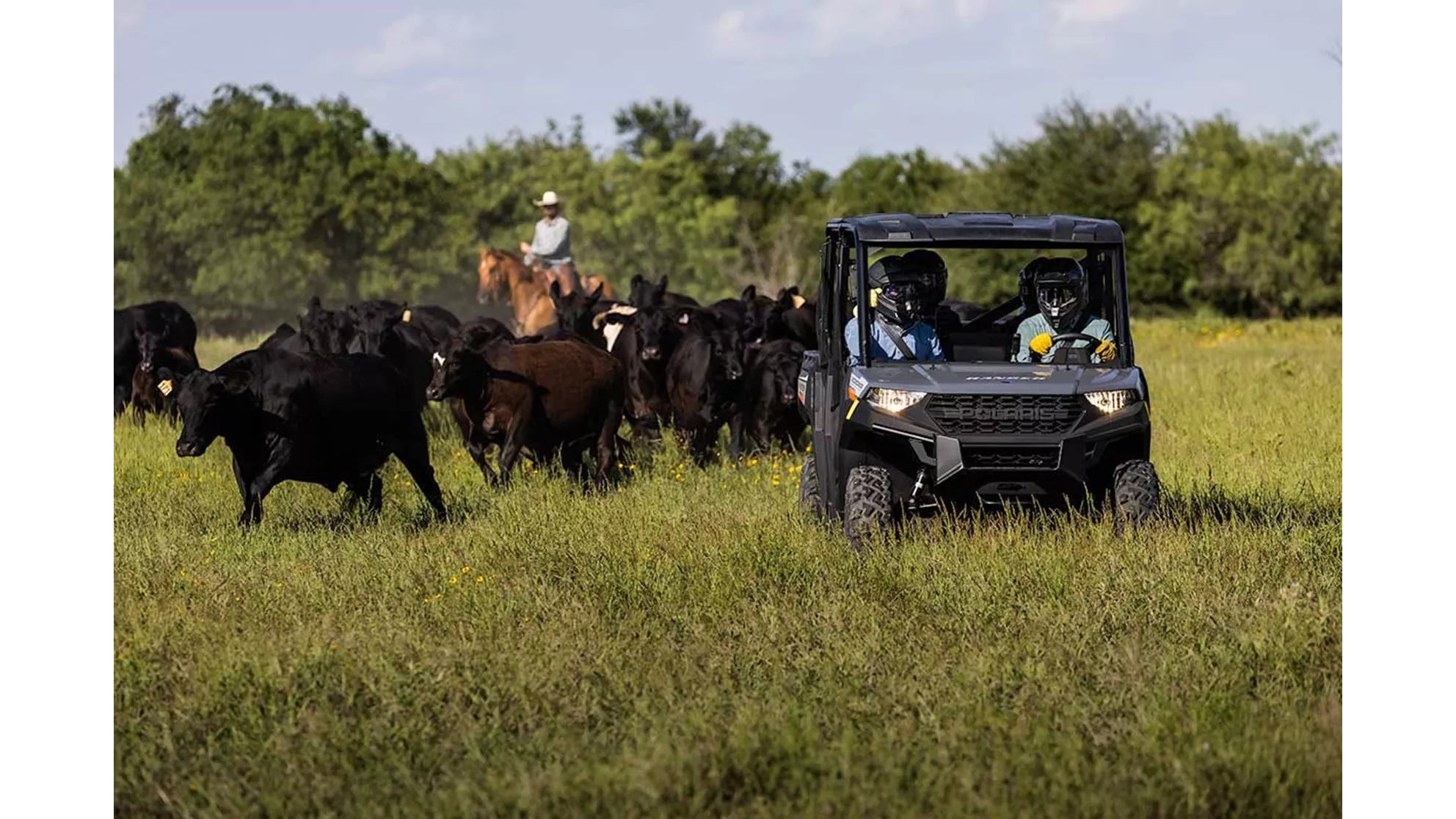 Polaris Ranger Crew 1000 Diesel - Image 1 Polaris Ranger Crew 1000 Diesel - Image 1