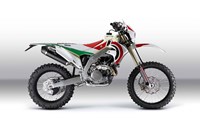 Bimota BX450 2023 - Bild 1