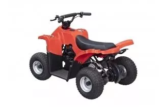 Adly E-M500L Mini ATV 2023
